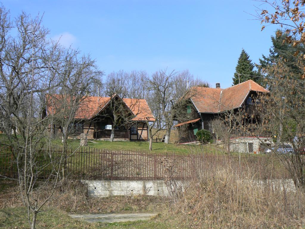 Country House Stoljetna Vila Guest House Seona Exterior photo